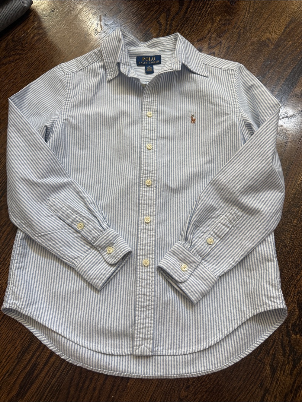 Polo by Ralph Lauren Light Blue & White Striped Button-Down Shirt